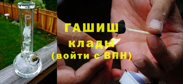 шишки Аркадак